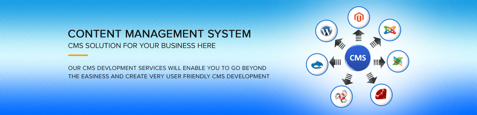 CMS web